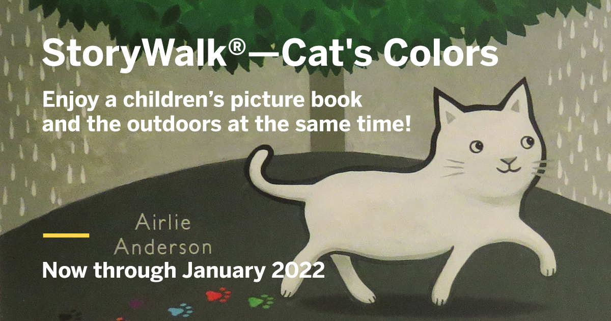 story walk cats colors