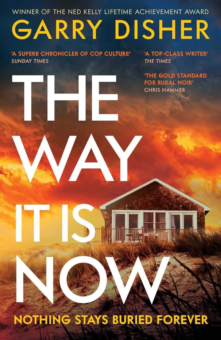 The Way It Is Now book cover