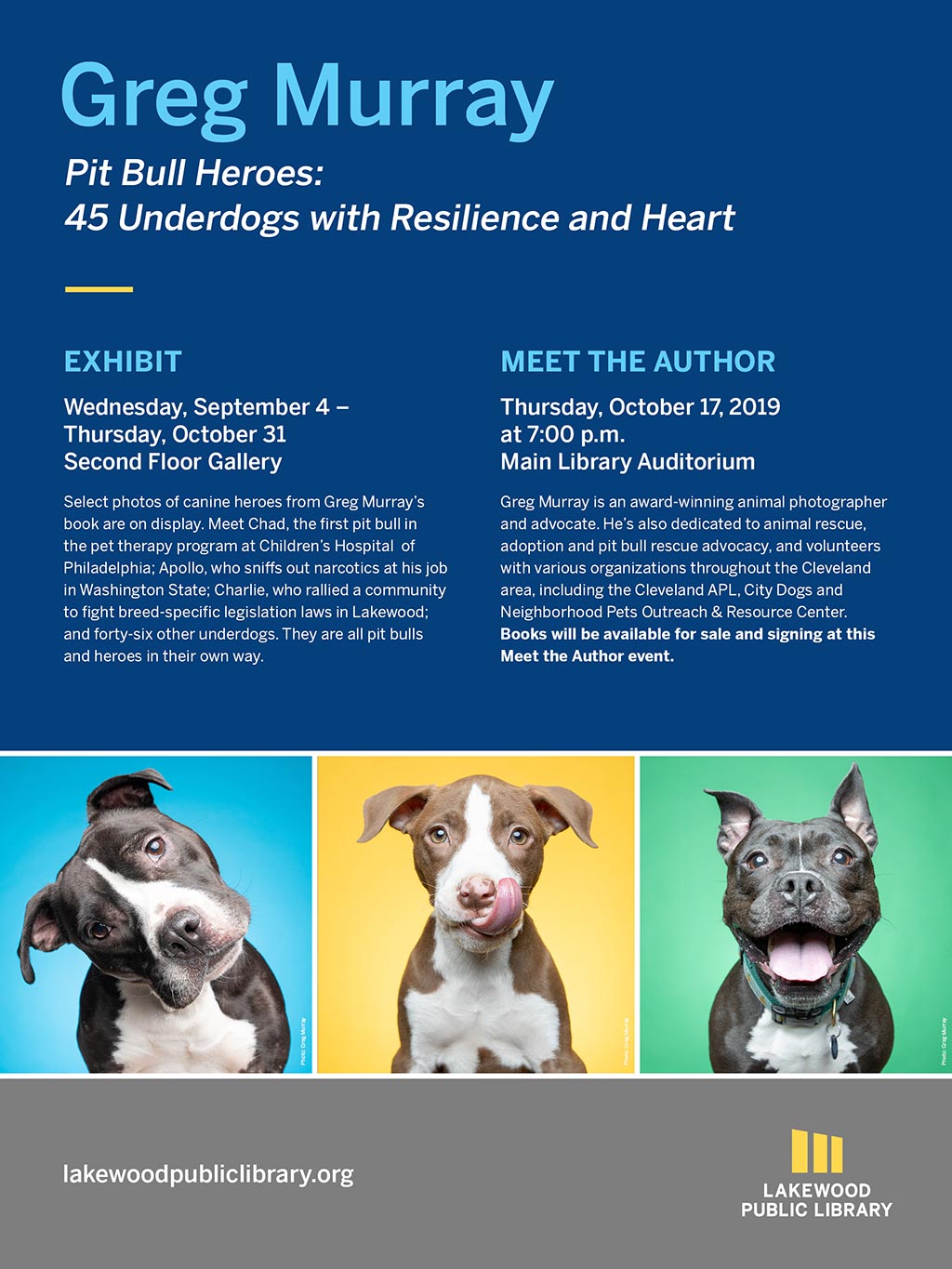 lpl grey murray poster